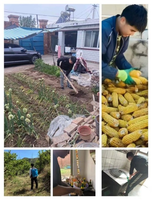 用双手感恩父母 用劳动温暖家庭——丰润职教中心机电技术部开展家务劳动体验活动
